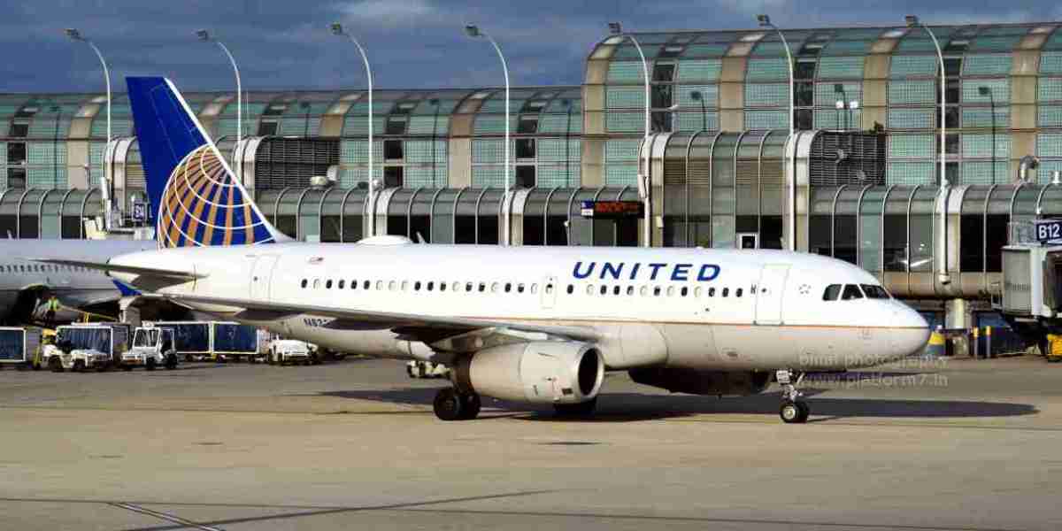 What to Expect at United Airlines’ Terminal in Detroit Metropolitan Airport