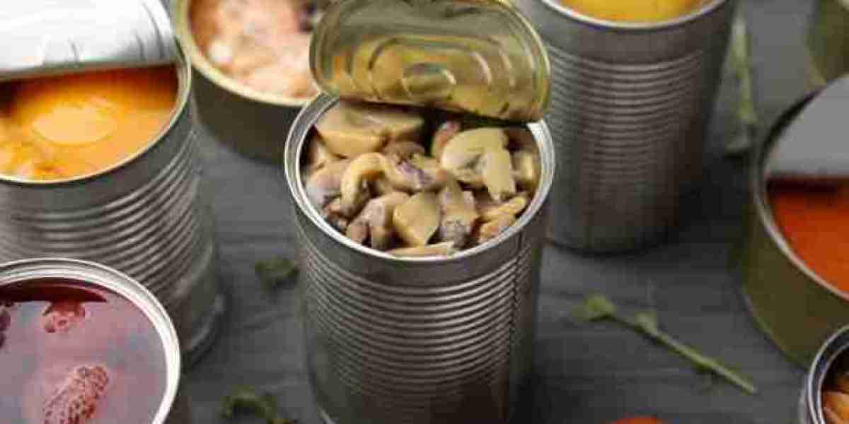 Canned Pasta Market Strategies: Key Player Approaches to Innovation and Distribution Channel Expansion