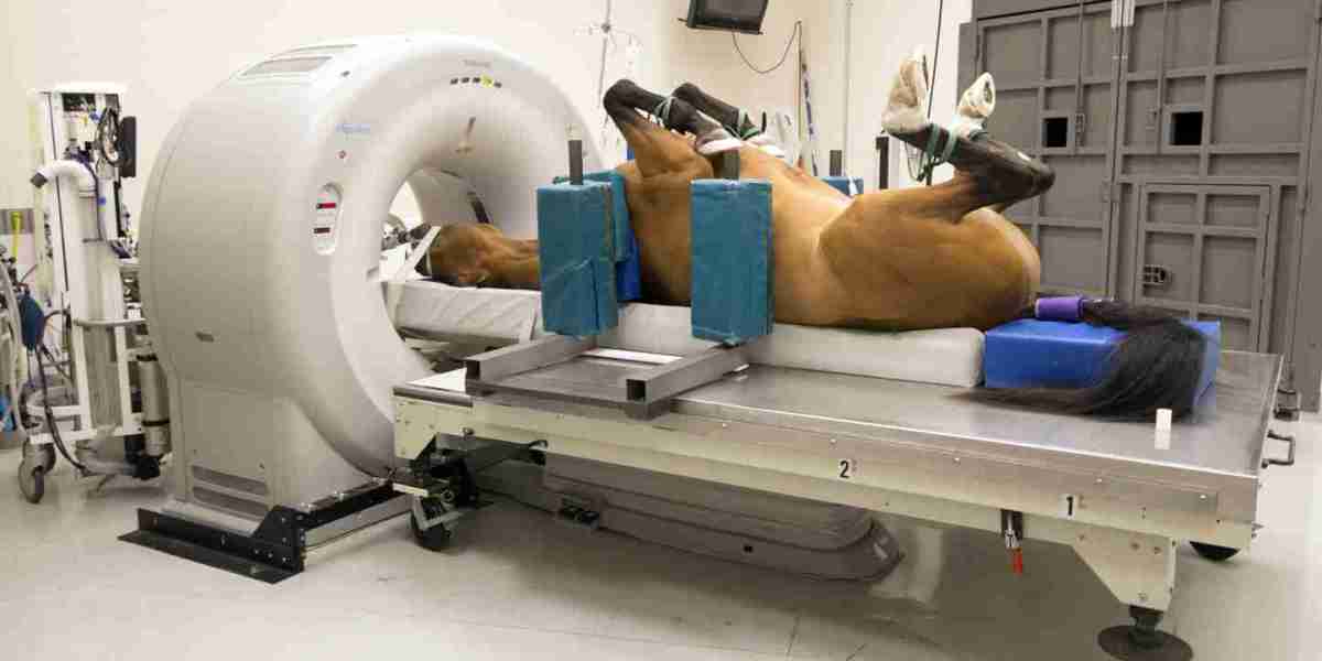 Veterinary MRI Systems Market Struggles with High Costs and Lack of Specialized Equipment