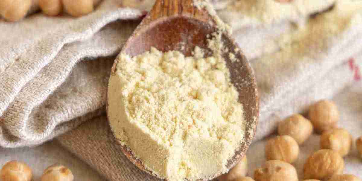 Chickpea Flour Market Regulation: Understanding Legal Frameworks and Compliance Requirements Worldwide