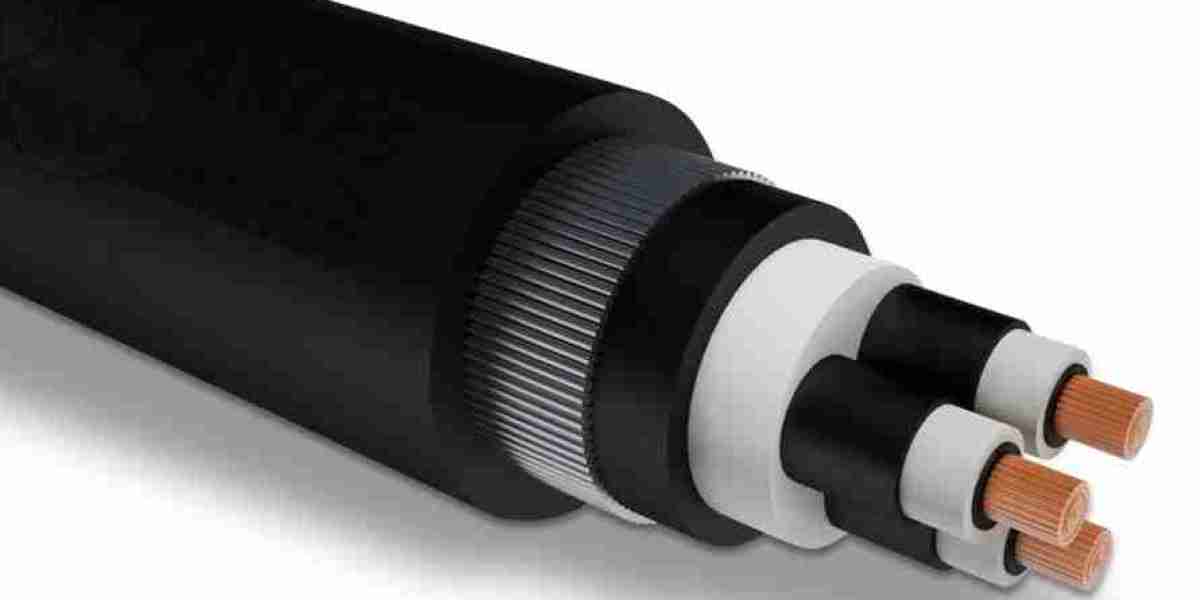 Cross-Linked Polyethylene Market: Evolution Driven by Technological Advancements and Infrastructure Development Globally