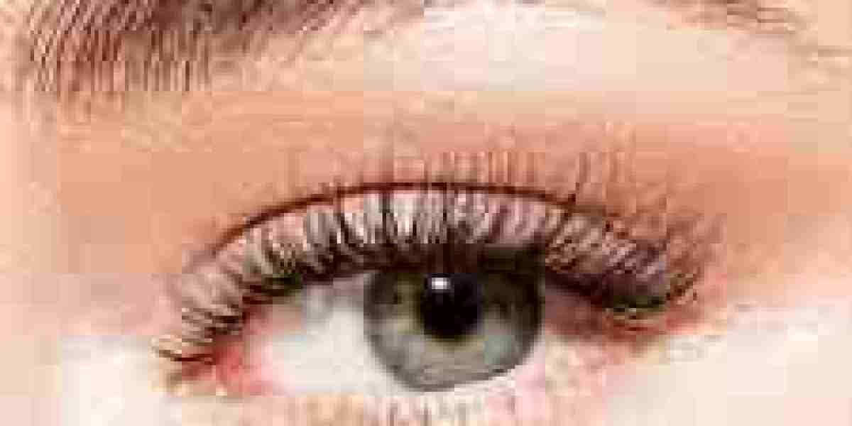 False Eyelashes Market Dynamics: The Influence of Fashion and Seasonal Trends on Consumer Purchases