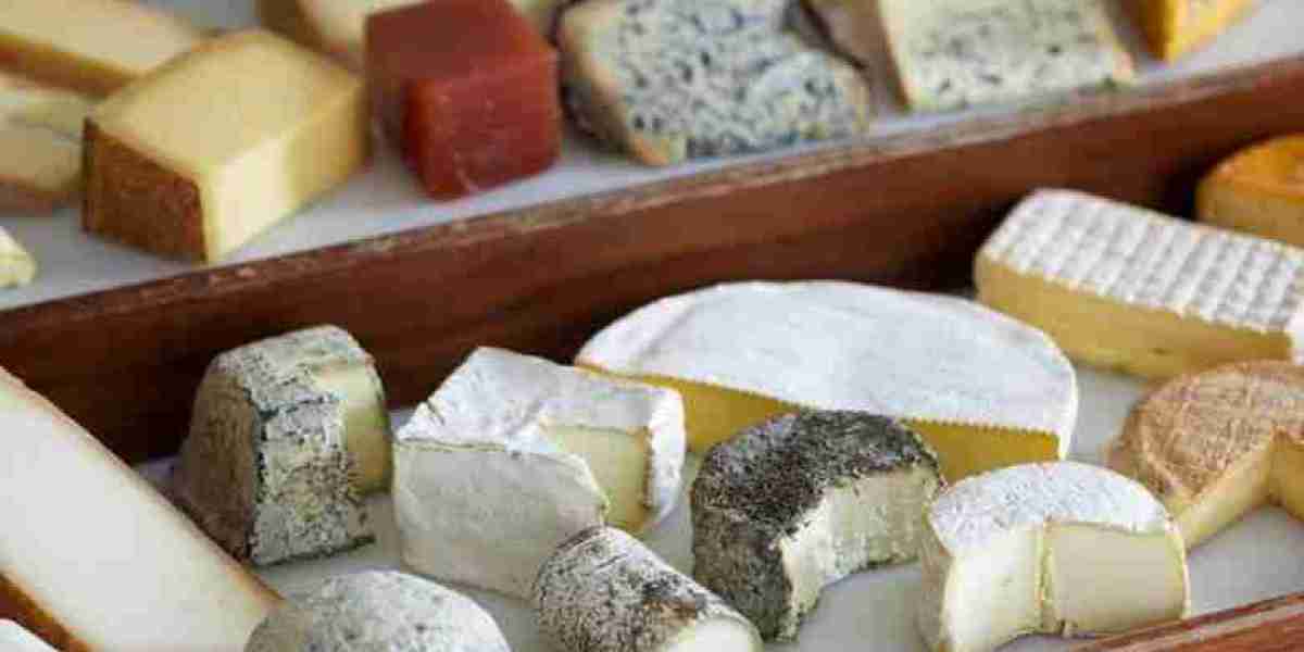 Cheese Alternatives Market Potential: Exploring Growth Drivers, Innovations, and Future Opportunities Worldwide
