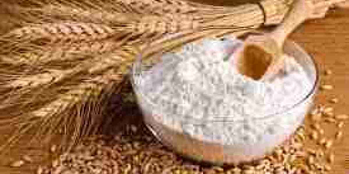 Functional Flour Market Threats: Addressing Consumer Awareness Gaps and Product Innovation Challenges