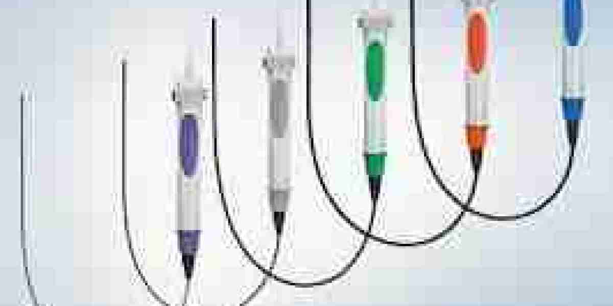Single-Use Bronchoscopes Market Services: Enhancing Efficiency and Patient Care in Respiratory Diagnostics