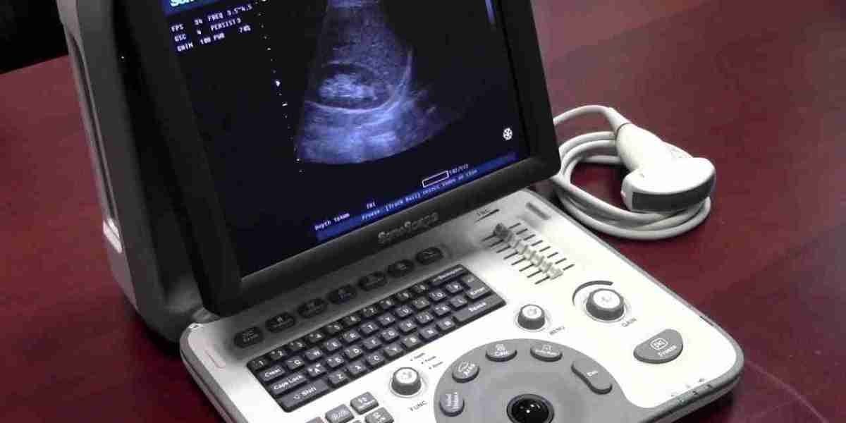 Portable Ultrasound Bladder Scanner Market Demand Surges with Aging Population and Advancements
