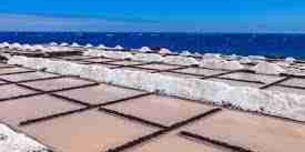 Industrial Salt Market Scenario: Current Trends, Growth Drivers, and Future Outlook