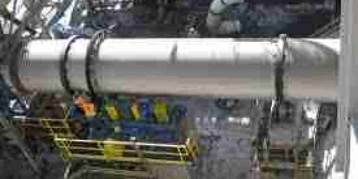 Rotary Dryers Market Competitive Analysis: Key Players and Strategic Positioning Insights