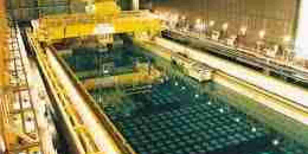 Nuclear Waste Management Market Development: Trends, Innovations, and Regional Dynamics in 2025