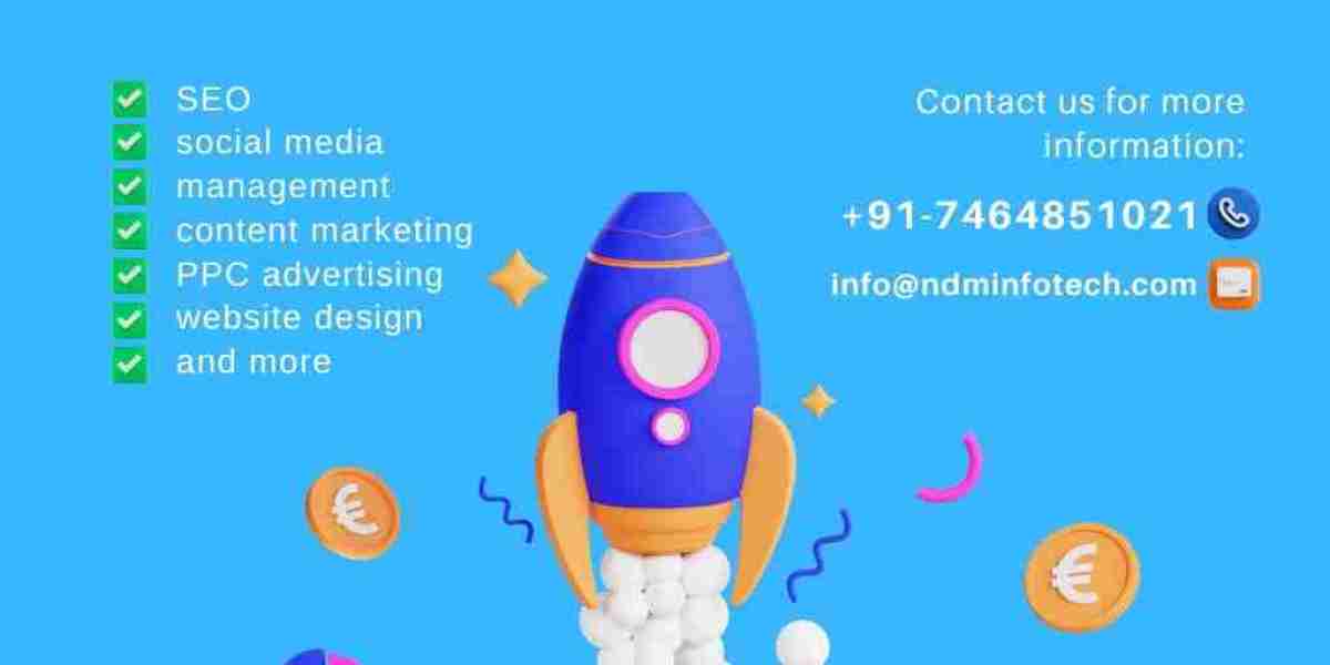 NDM Infotech: Your SEO & SMO Growth Partner in India