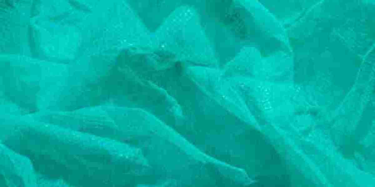 Polymer-Coated Fabrics Market Accelerates to USD 28.4 Bn as Material Science Revolutionizes Automotive, Medical, and Con