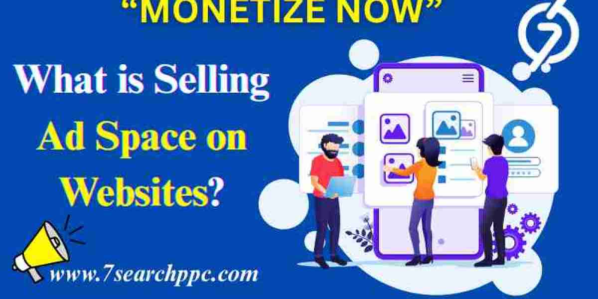 A Beginner’s Guide to Sell Website Space and Earn Online