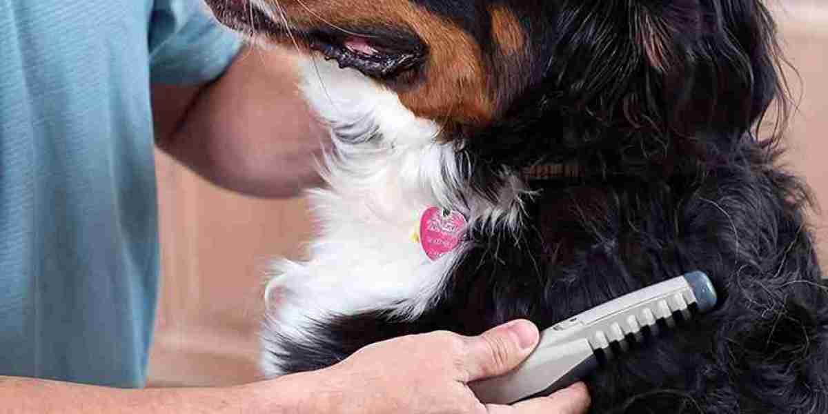 Pet Brushes Market Opportunities: Exploring Trends, Innovations, and Growth Drivers in Global Pet Grooming Industry