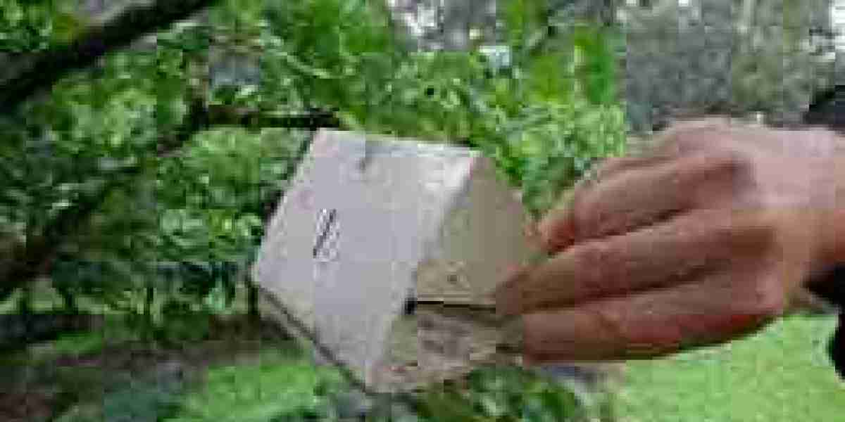 Agricultural Pheromones Market Expansion: Opportunities and Challenges in the Global Agricultural Landscape