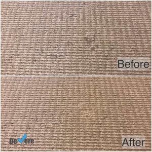 Don't Replace – Restore! North Brisbane Carpet Repair Done Right by De Vere Experts
