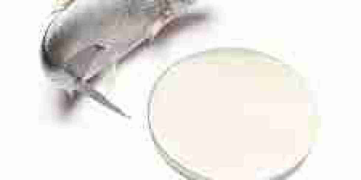 Fish Collagen Market Competitive Analysis: Key Players and Strategic Positioning Insights