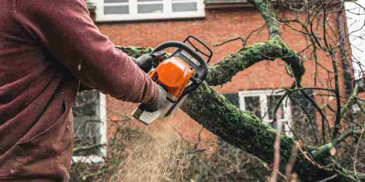 Tree Pruning – The Essential Guide to Healthier, Safer, and More Beautiful Trees