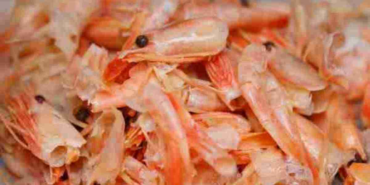 Report on Chitosan Processing Plant Setup with Cost Analysis and Requirements