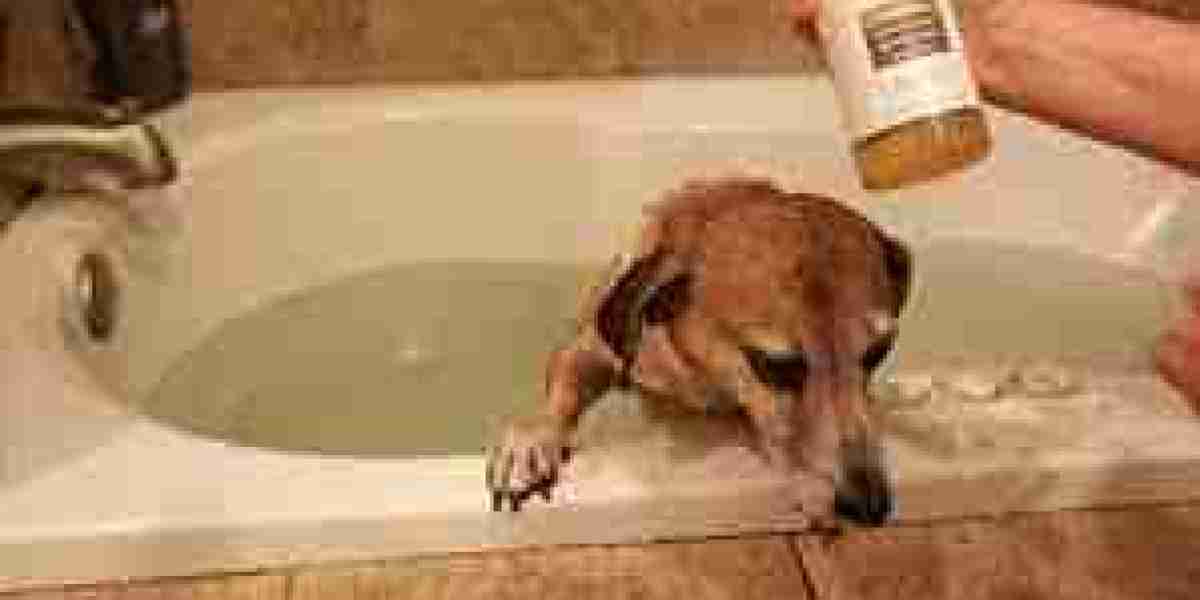 Non-Medicated Pet Shampoo Market Competitive Analysis: Key Players and Strategies