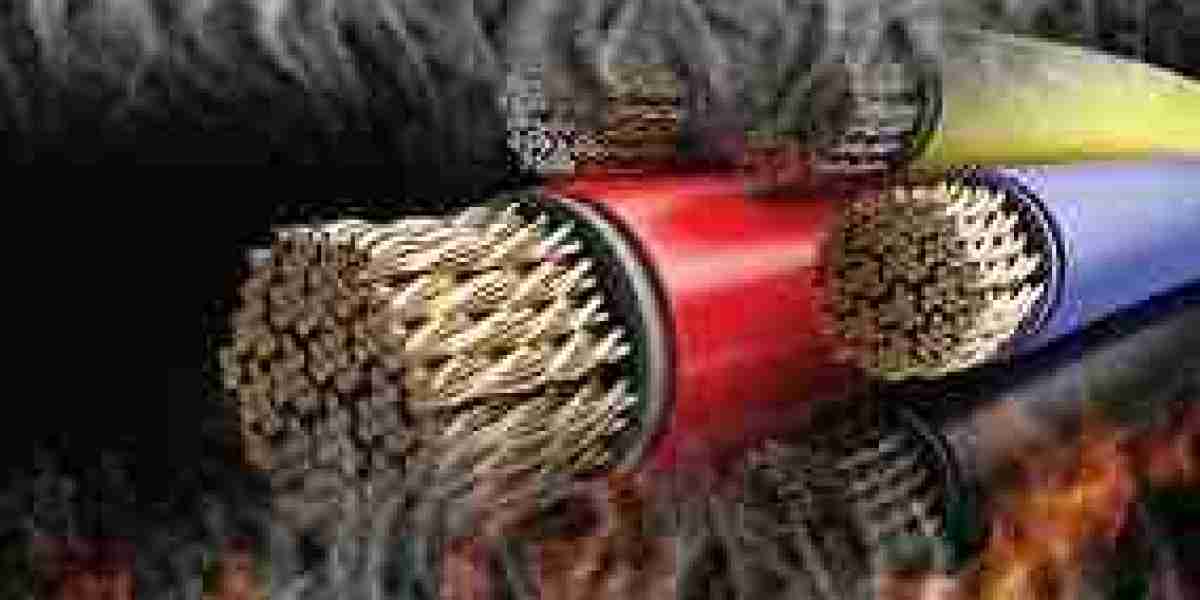 Flame Retardants Market eco friendly product demand encouraging sustainable innovations and global transformation