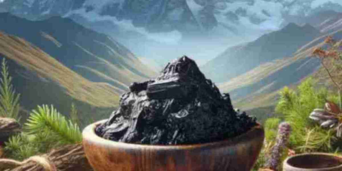 Salajeet in Pakistan: A Natural Superfood That Could Transform Your Wellness Routine