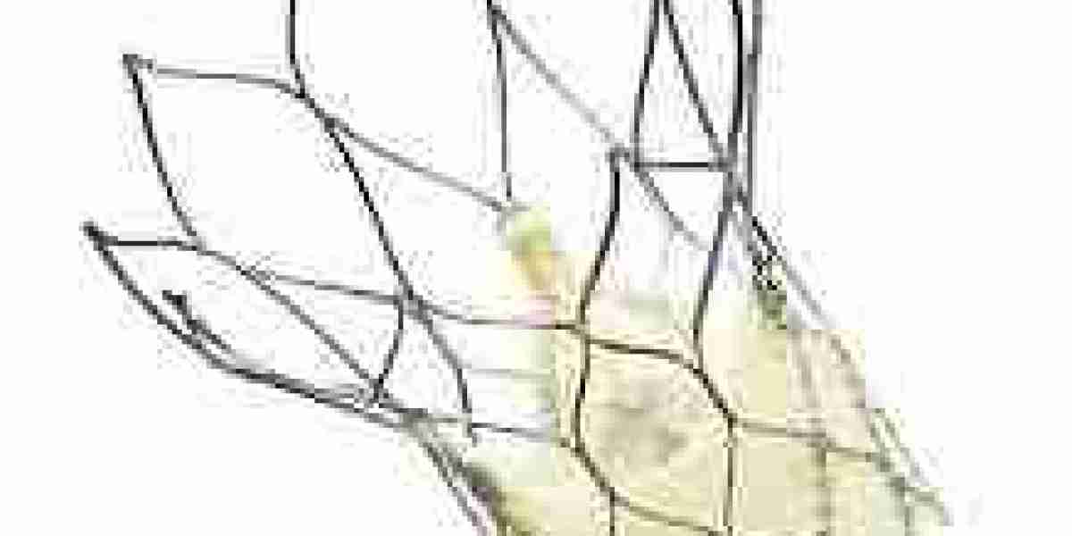 Heart Valve Devices Market Potential Driven by Innovation and Global Healthcare Demand