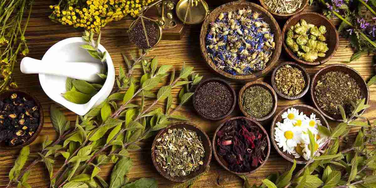 Herbal Smoking Products Market Trends Favor Herbal Infusions like Mullein, Damiana, Lavender, and Chamomile in Blends