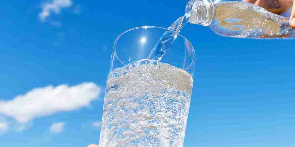 Sparkling Water Market Role of Celebrity Endorsements and Social Media Influencers