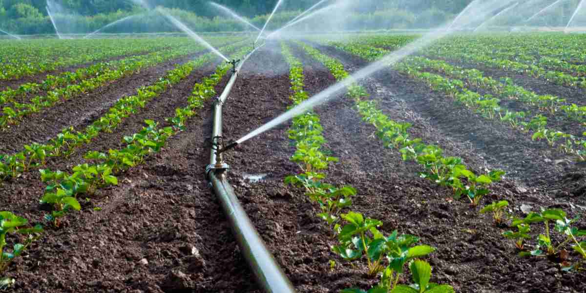Smart Irrigation Market Post-2025: The Future of Automated Water Management