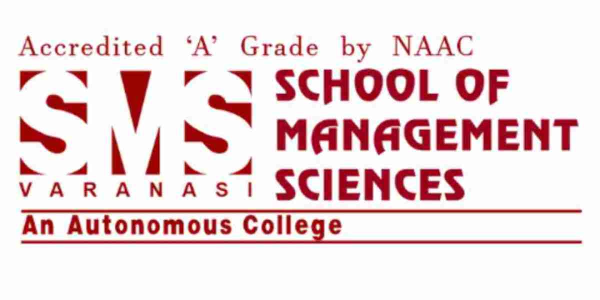 Key Differences Between Executive MBA vs MBA You Should Know