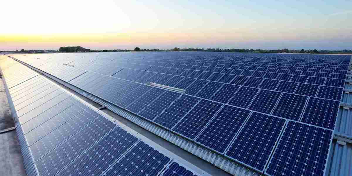 Solar Panel Market Faces Supply Chain Disruptions Cost Pressures and Regulatory Hurdles Globally