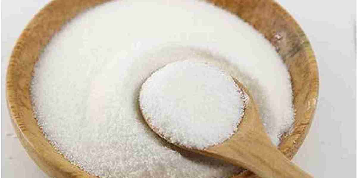 Encapsulated Sodium Bicarbonate Market Conditions: Unlocking Growth Opportunities in Animal Nutrition and Beyond