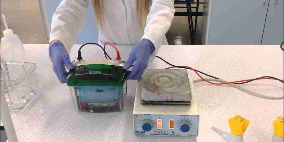 Western Blotting Processors Market Growth Accelerated by Need for High-Throughput Protein Identification Systems