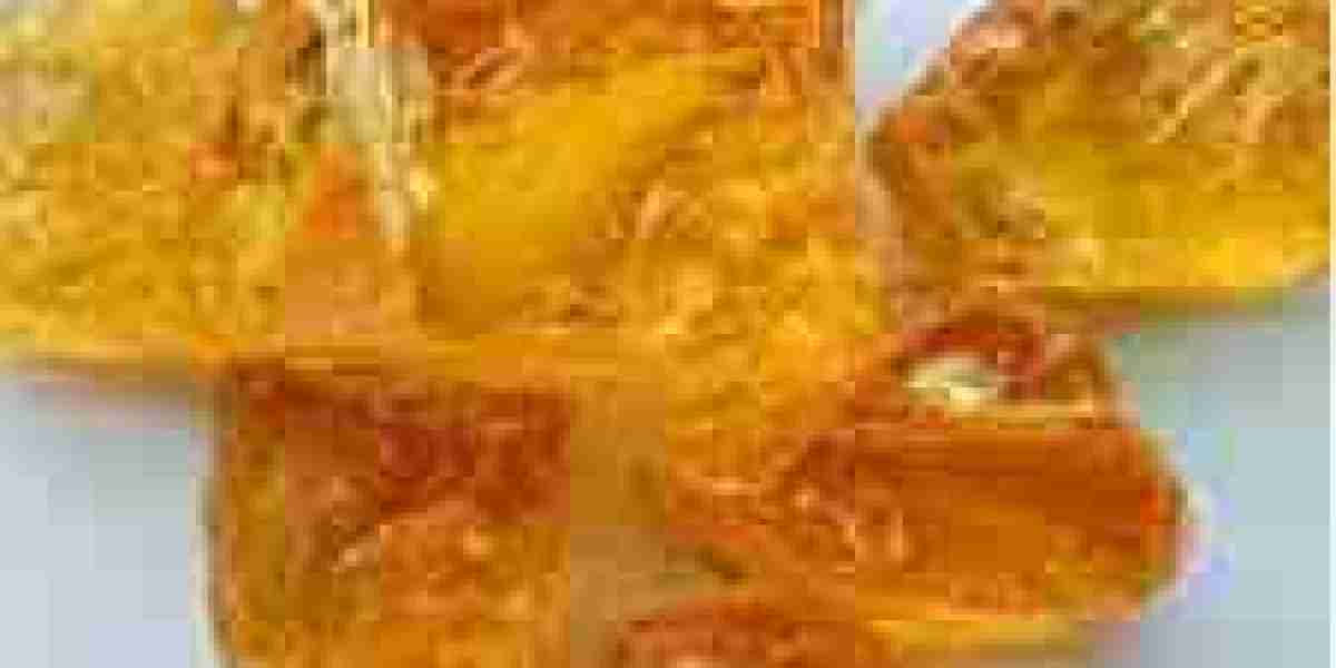 Gum Rosin Market Recent Developments Driving Innovation and Sustainable Growth