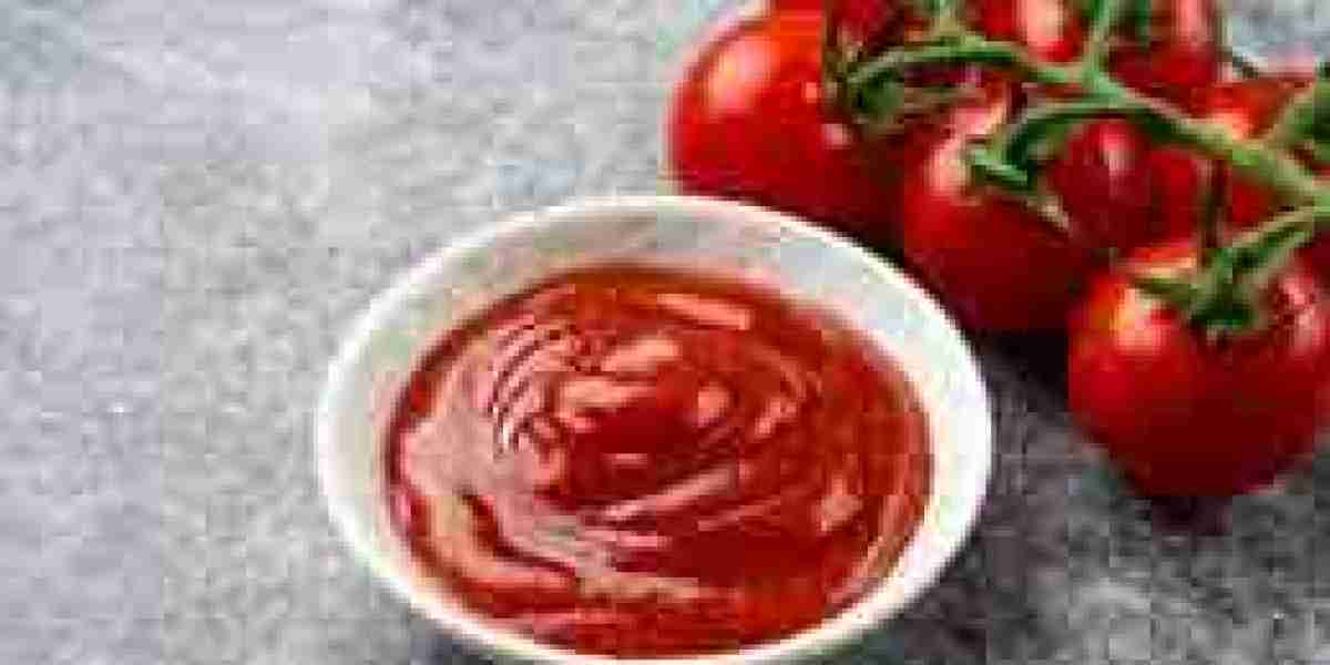 Tomato Ketchup Market Analysis Highlighting Packaging Advances and Regional Demand Dynamics