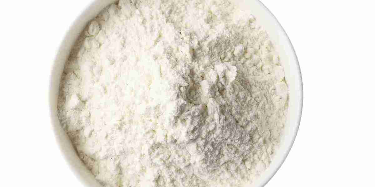 Electrolyte Powder Market Growth and Innovations Driving Global Demand and Consumer Preferences Expansion