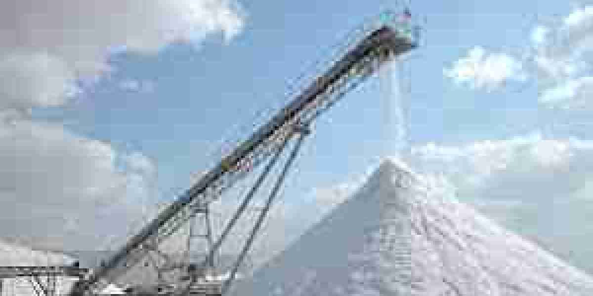 Industrial Salt Market Dynamics: Understanding Demand Drivers and Industry Shifts