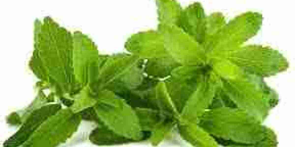 Organic Stevia Market Recent Developments: Innovations and Trends Shaping Industry Growth