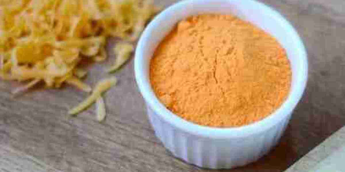 Cheese Powder Market Outlook Shows Increased Demand Across Fast Food Chains and Processed Food Sectors