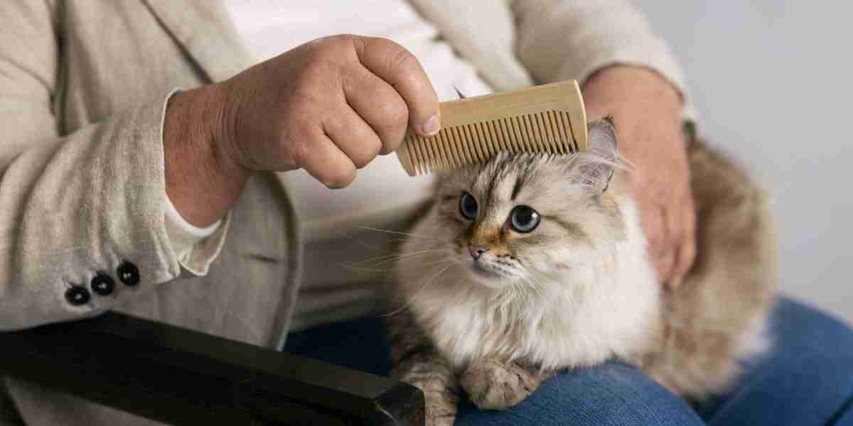 How to Help Your Cat with Hairballs Naturally