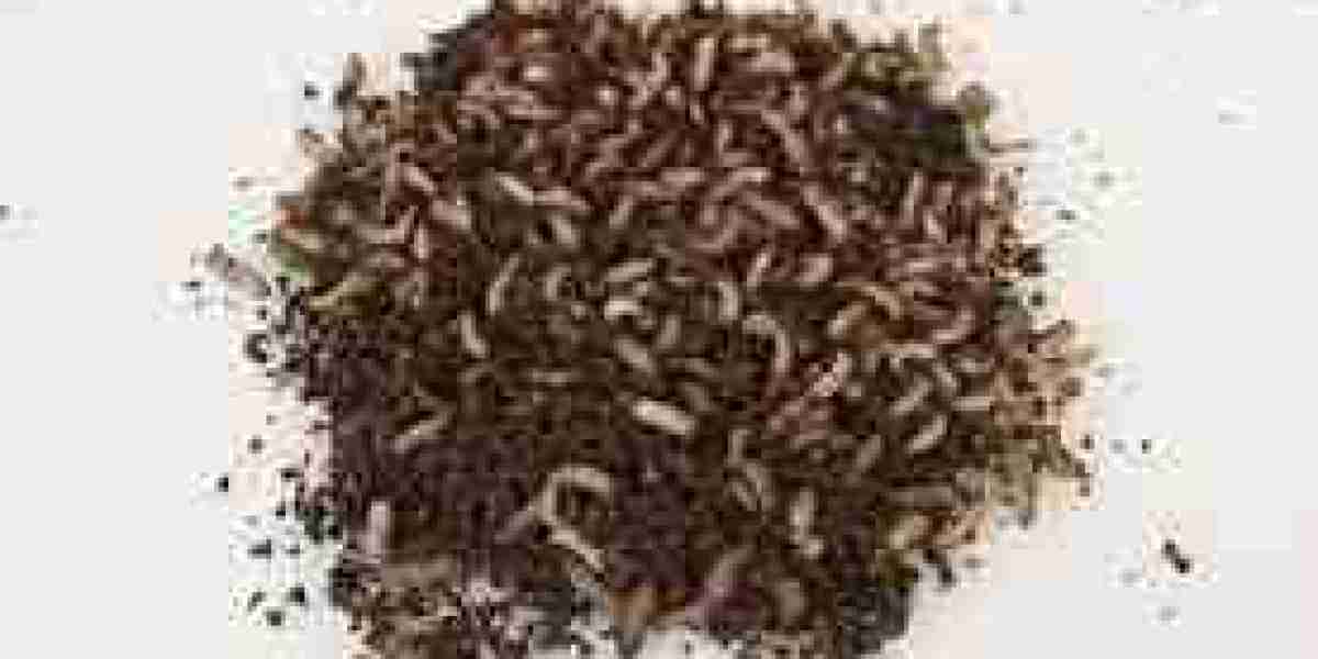 Insect-based Fertilizer Market emerging as viable option for nutrient-rich solutions