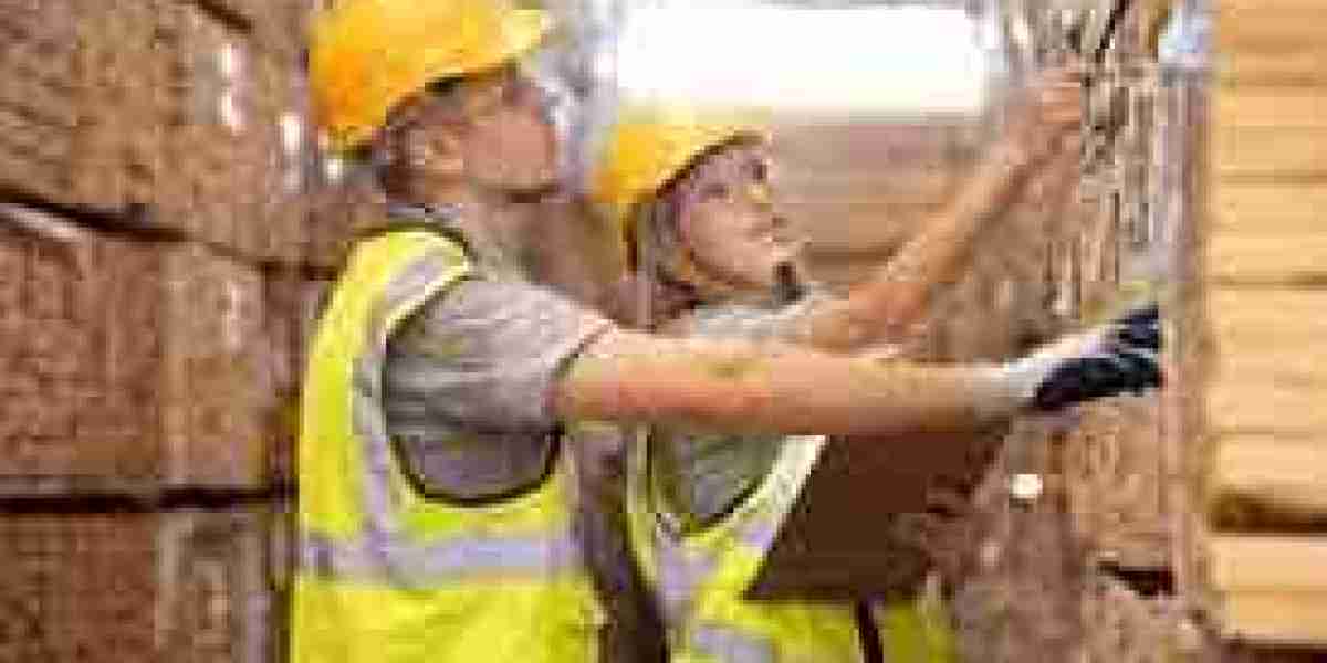 Cargo Inspection Market Growth: Exploring Growth Drivers, Technological Innovations, and Regulatory Impacts by 2030