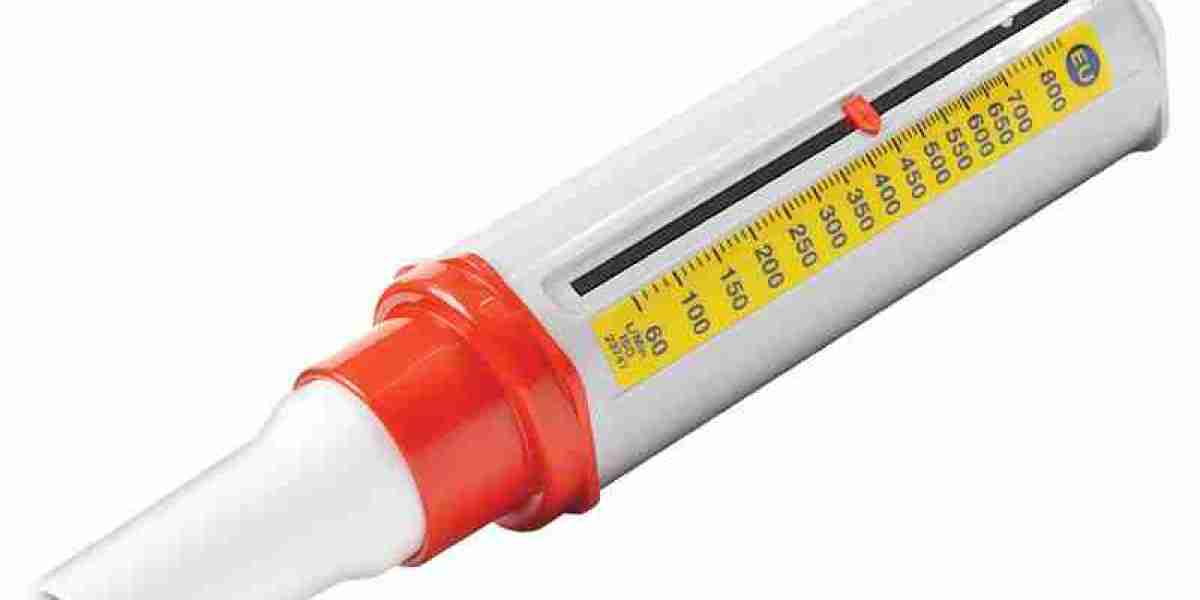 Peak Flow Meter Market Fueled by Adoption in Pediatric Asthma Management and Monitoring