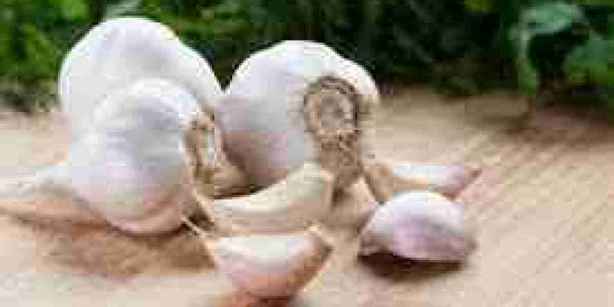 Garlic Market: Key Impacting Factors Shaping Growth and Competitive Dynamics