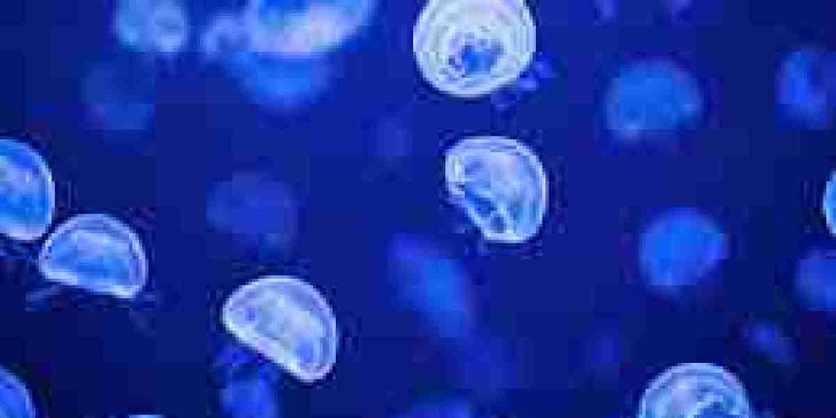 Marine Enzymes Market Development: Innovations Driving Industrial and Healthcare Applications