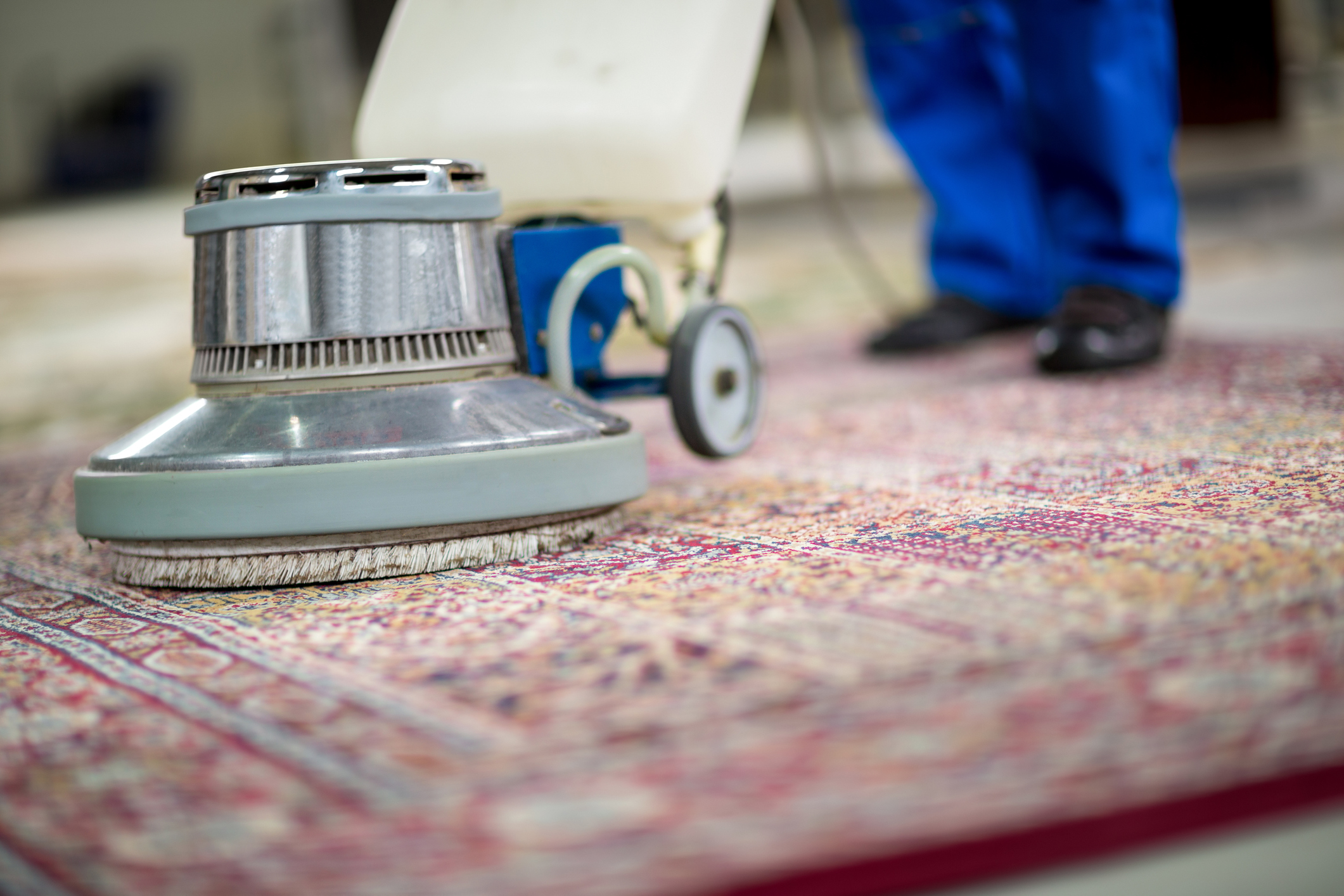 Spotless Results: Behind Allentown’s Most Trusted Carpet Cleaning Services - Share Cleaning