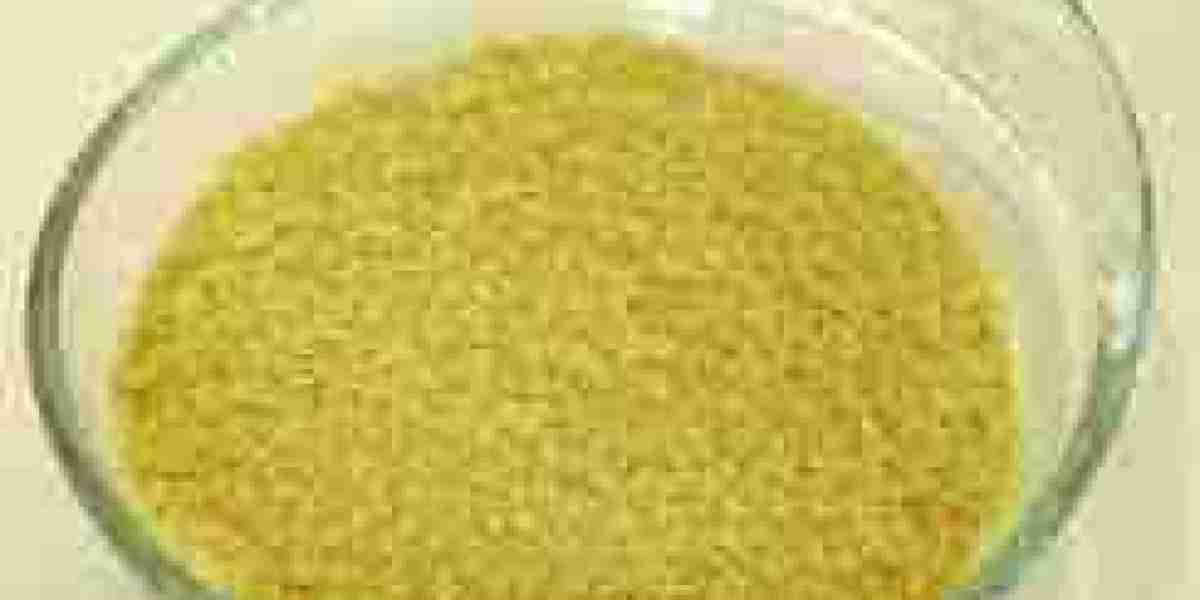 Yeast Nucleotides Market – Assessing the Current Market Scenario and Strategic Positioning