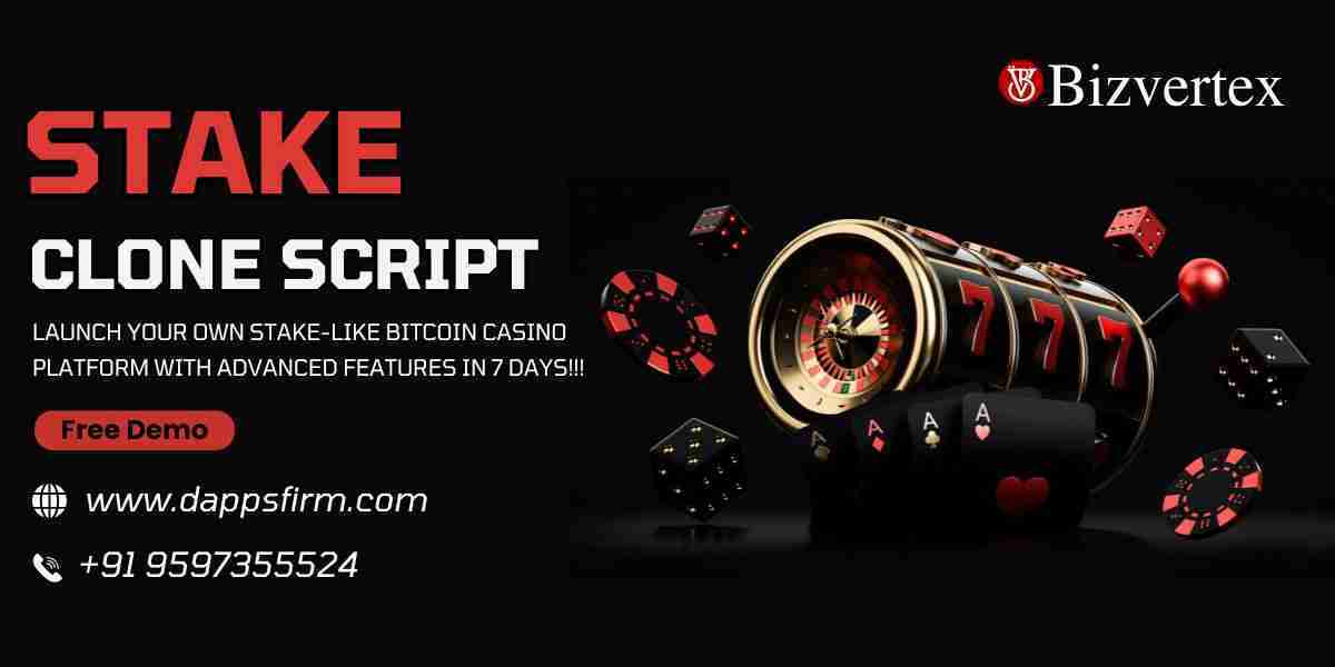 Stake Clone Script vs Building from Scratch: What Works Best?