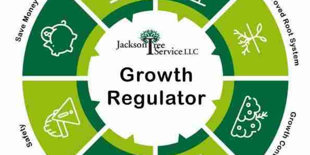 Plant Growth Regulators Market Impact Of Technological Advancements On Crop Yields