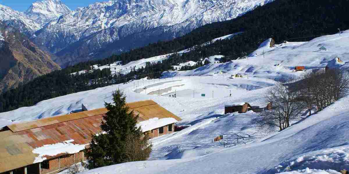 Auli Travel